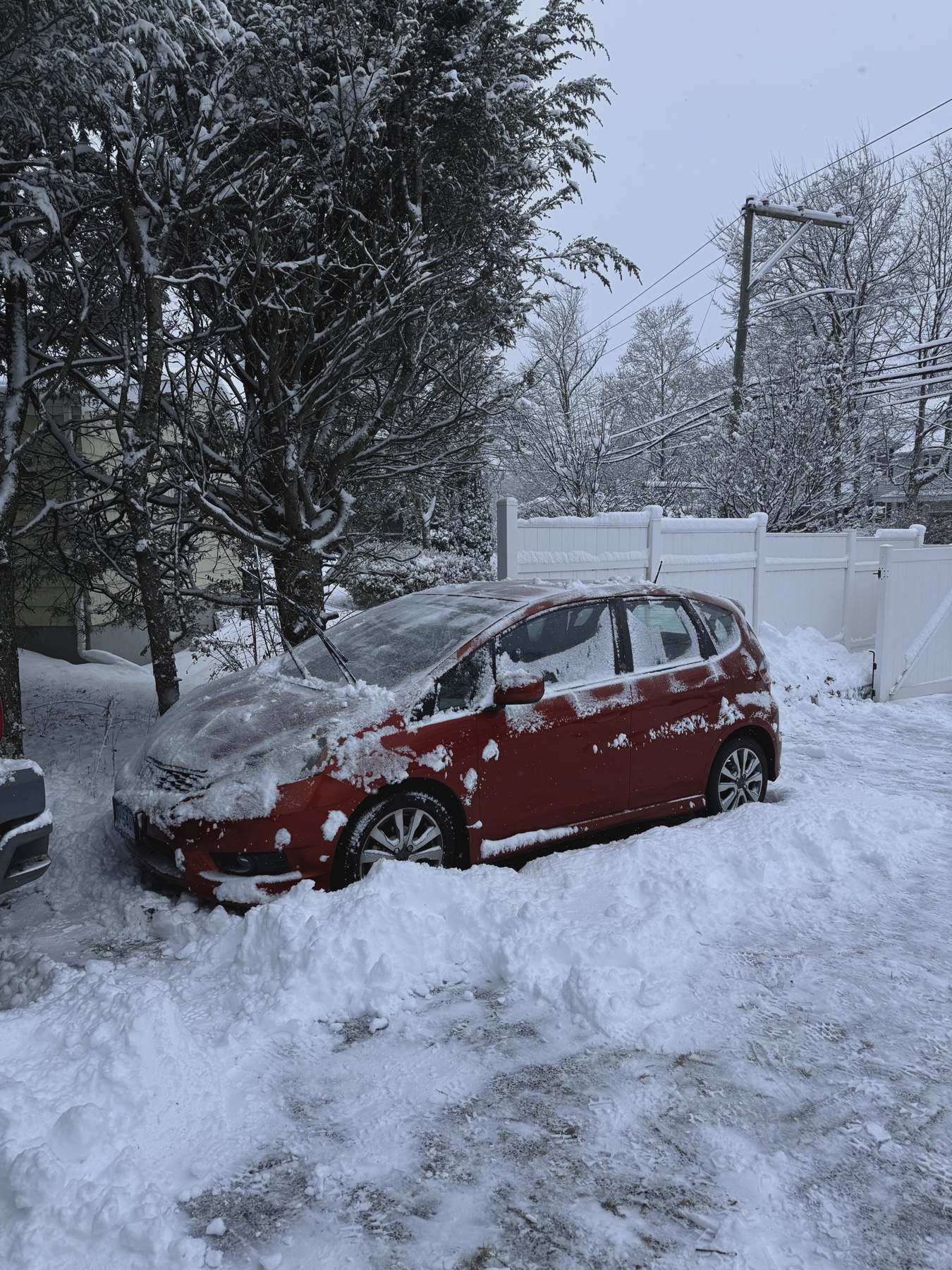 Honda Fit cover